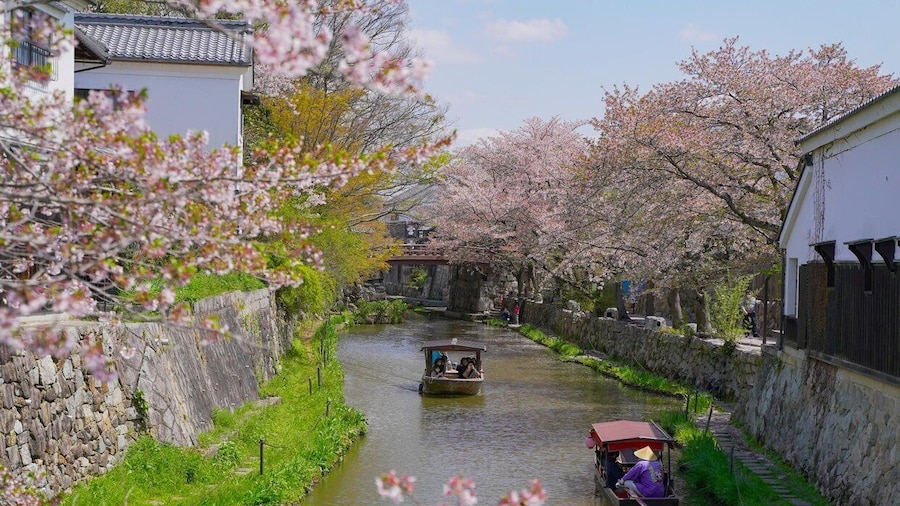 From Nagoya: Castles and Canals in Hikone and Omi Hachiman