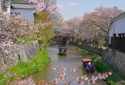 From Nagoya: Castles and Canals in Hikone and Omi Hachiman
