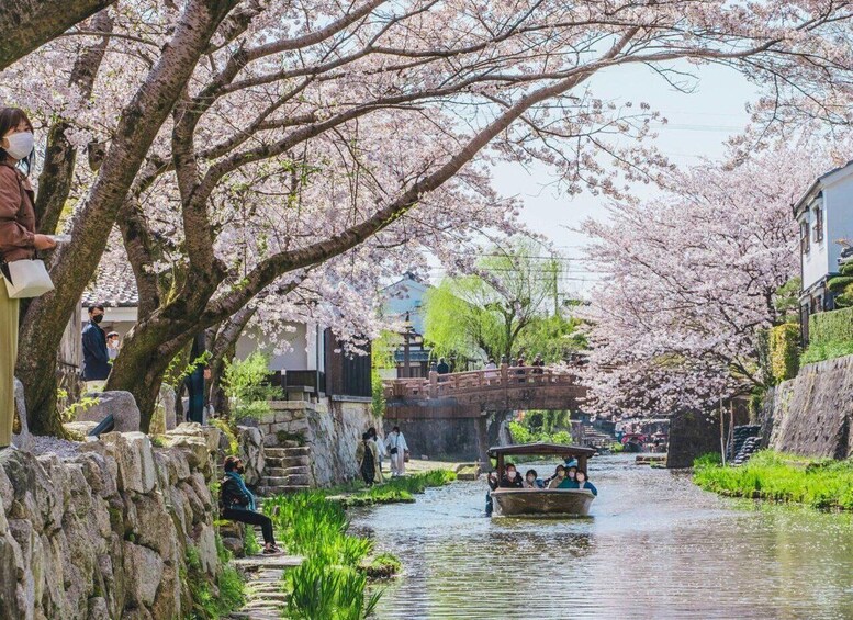 Picture 2 for Activity From Nagoya: Castles and Canals in Hikone and Omi Hachiman