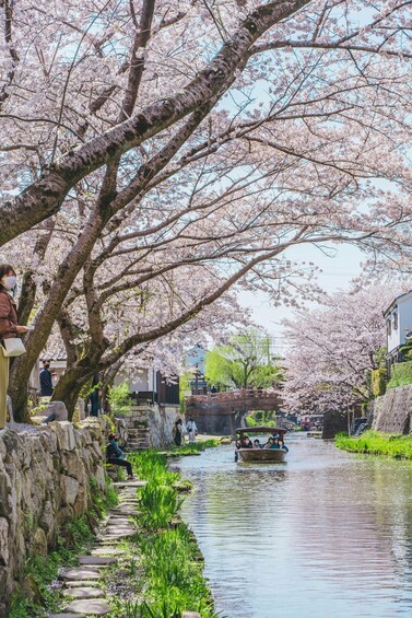 Picture 6 for Activity From Nagoya: Castles and Canals in Hikone and Omi Hachiman