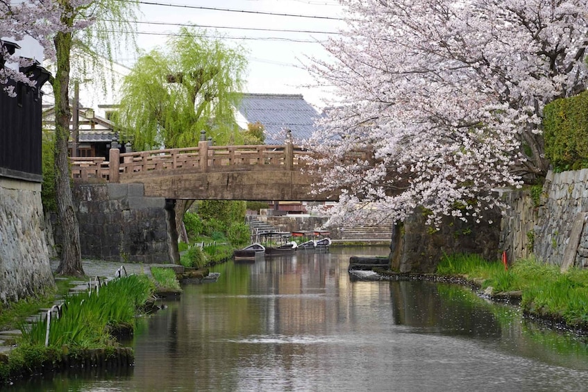 Picture 1 for Activity From Nagoya: Castles and Canals in Hikone and Omi Hachiman