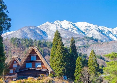 From Nagoya: Hida Takayama and World Heritage Shirakawa-go