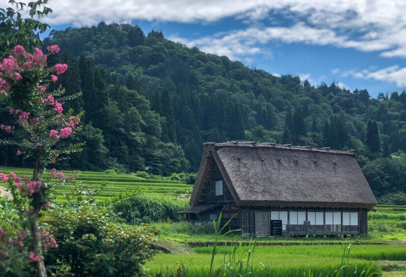 Picture 5 for Activity From Nagoya: Hida Takayama and World Heritage Shirakawa-go