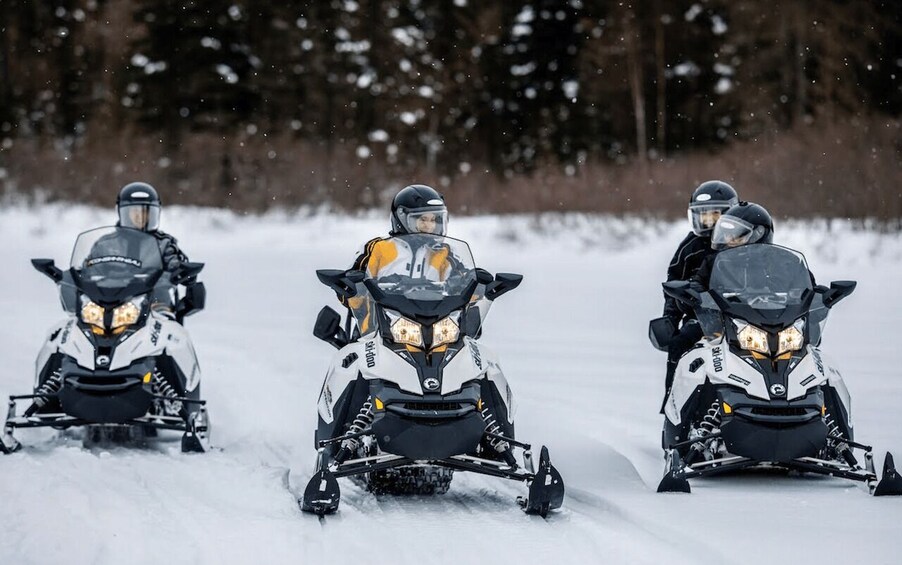 Picture 2 for Activity Laurentian Mountains: Guided Snowmobile Experience