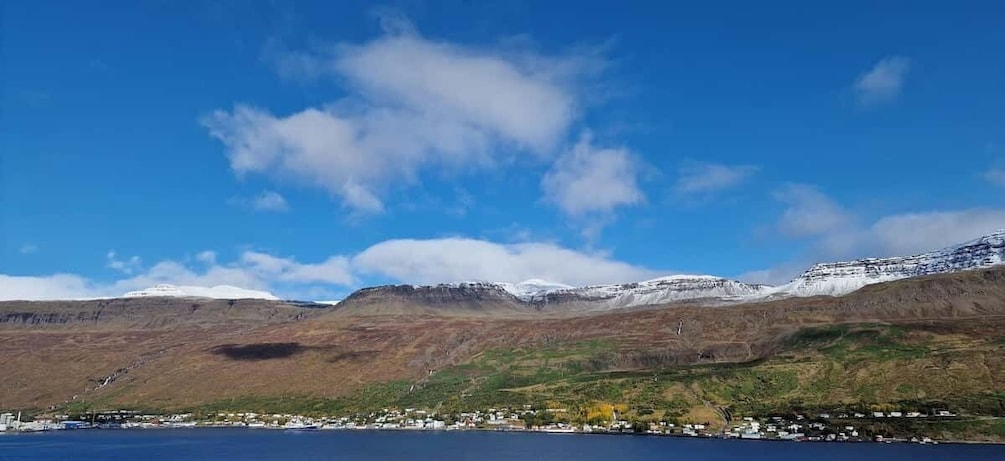 Picture 3 for Activity Eskifjörður: Guided Walking Tour with Local Storyteller