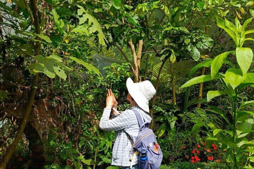 Tour in the Atitlan Nature Reserve