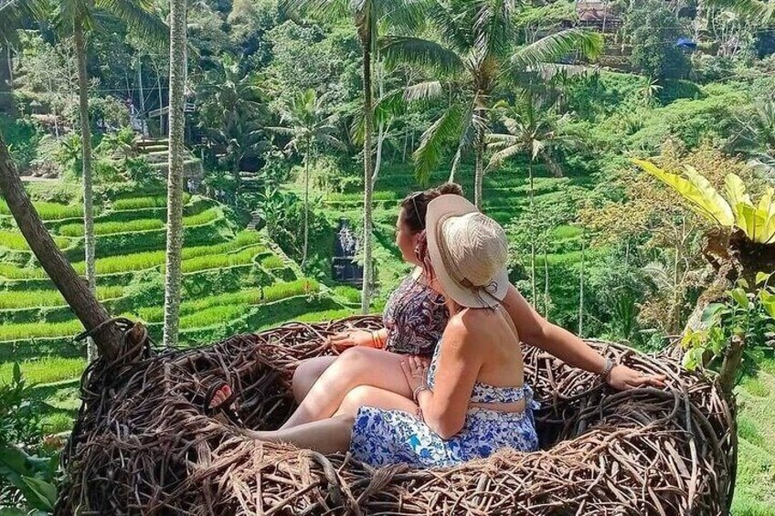tegalalang Nest