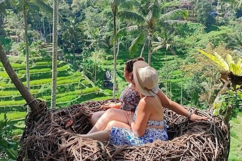 tegalalang Nest