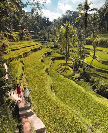 Picture 2 for Activity Ubud: Rice Terrace, Monkey Forest, Waterfall Private Tour