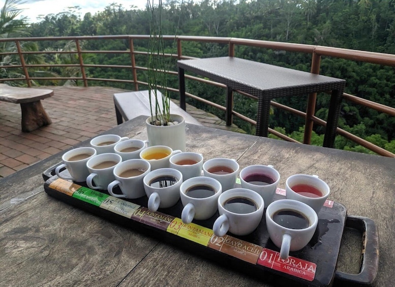 Picture 9 for Activity Ubud: Rice Terrace, Monkey Forest, Waterfall Private Tour