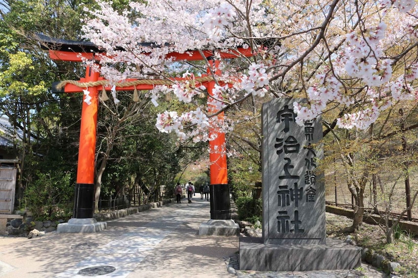 Picture 4 for Activity Uji's Romance: Byodo-in, Tea and the Legacy of Genji's Tales