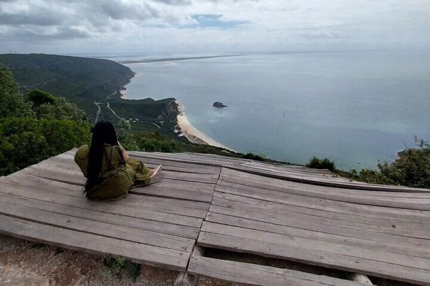 Exploring the Charms of Setúbal Vines Tile and Landscapes