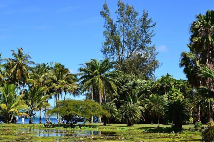 West Coast of Tahiti Private Tour with Lydia