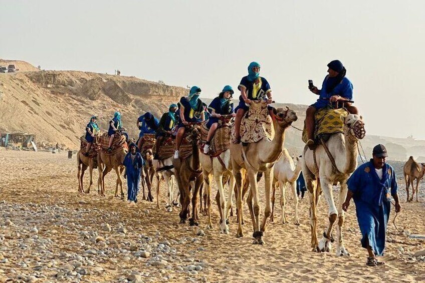 Sunset Camel Ride tour with Barbecue dinner in Tamri village