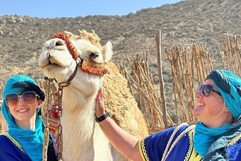 Sunset Camel Ride tour with Barbecue dinner in Tamri village