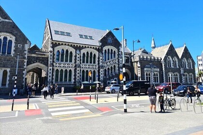 Christchurch City Top Spots Private Half Day Tour