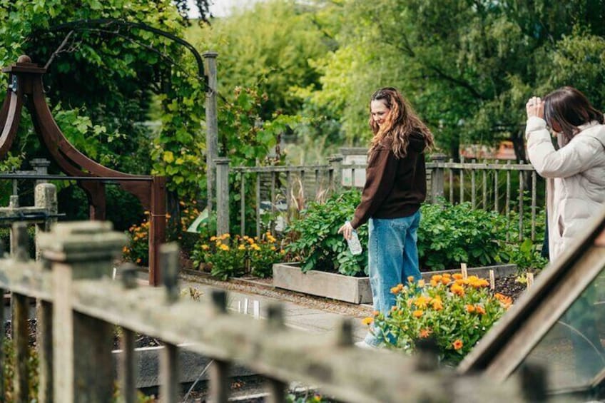 Christchurch City Top Spots Private Half Day Tour