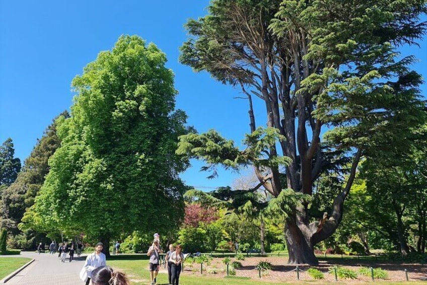 Christchurch City Top Spots Private Half Day Tour