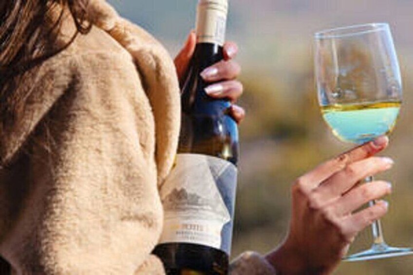 Franschhoek Valley Full Day Small Group Wine Tour