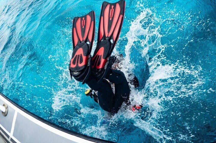 Two Tank Boat Dive Adventure with Elite Instructor and Equipment