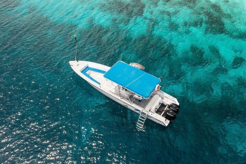 Two Tank Boat Dive Adventure with Elite Instructor and Equipment