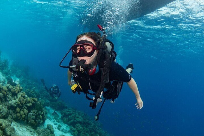 Two Tank Boat Dive Adventure with Elite Instructor and Equipment