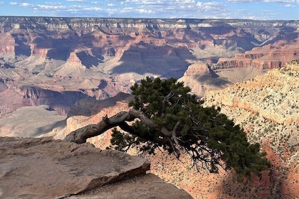 Grand Canyon Luxury Car Tour Experience