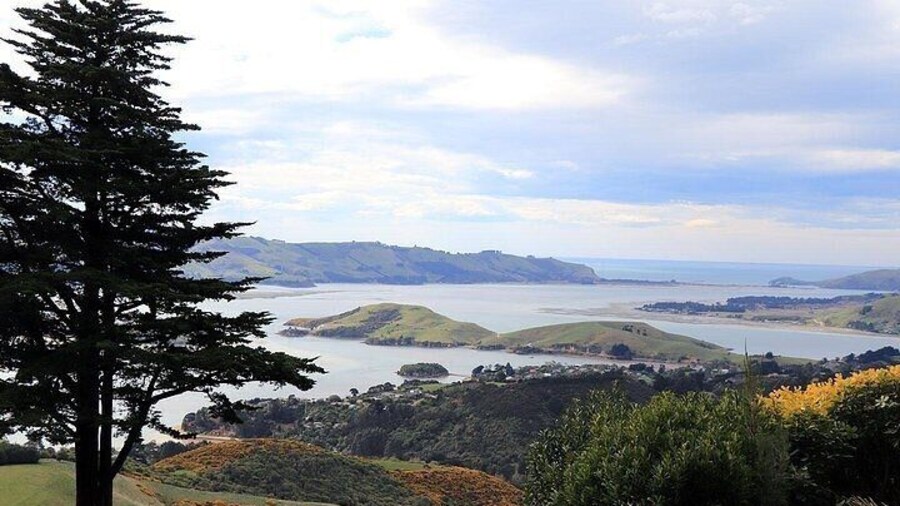 Larnach Castle Garden