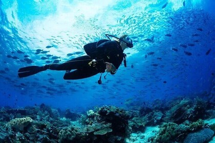 Experience Nha Trang Scuba Diving with Certified Dive