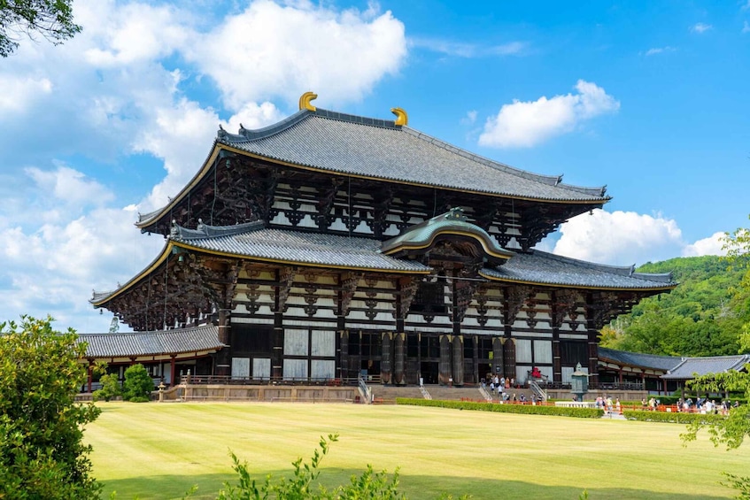 Picture 4 for Activity 1-Day Walking Tour in Nara: Palace, Deer and Inkstick