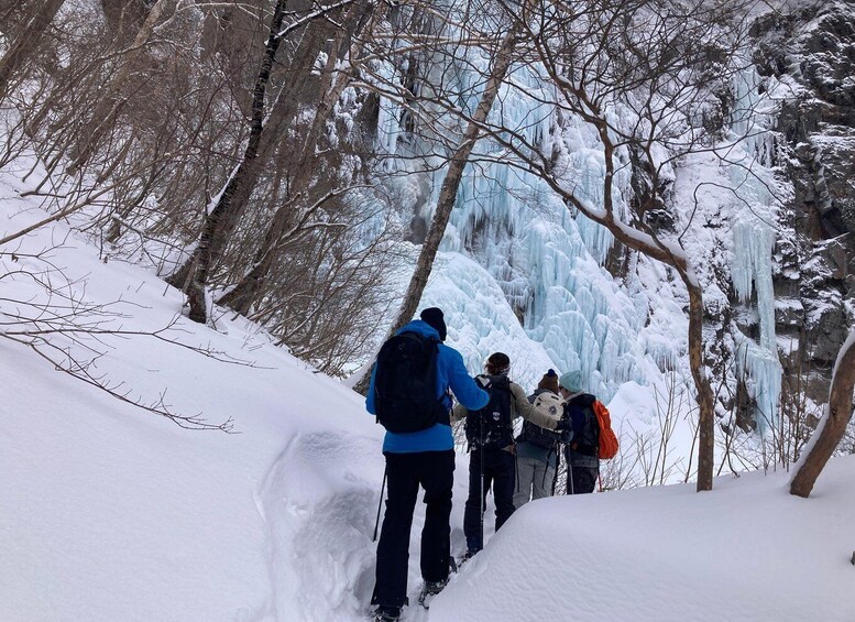 Picture 7 for Activity Nagano: Snowshoe Stunning Yonago Frozen Waterfalls