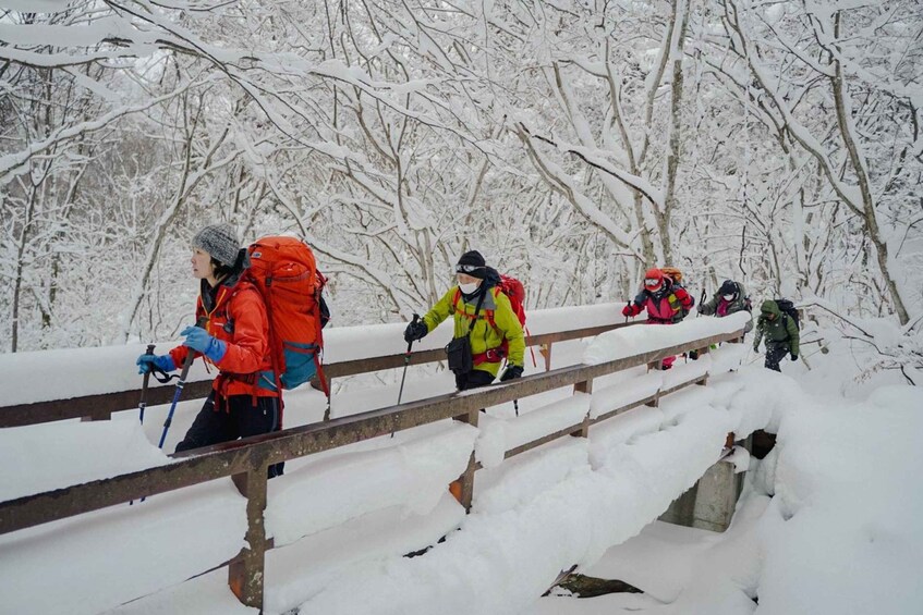 Picture 2 for Activity Nagano: Snowshoe Stunning Yonako Frozen Waterfalls