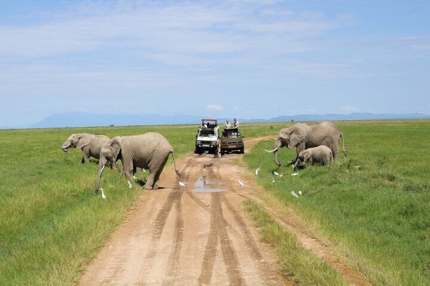 7 Days 6 Nights Kenya Bush Private Safari