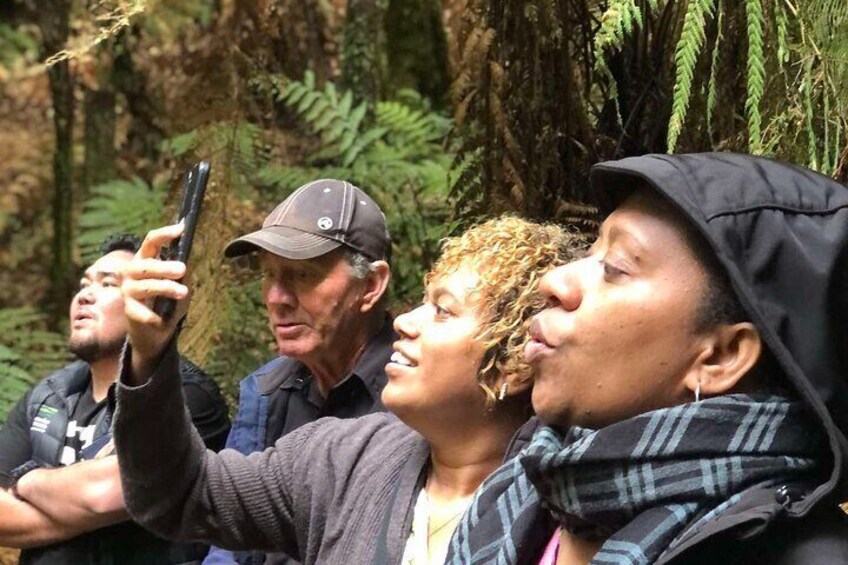 Whirinaki Forest Footsteps: Māori Guided Tour, Picnic & Transfer