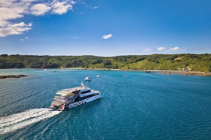 Tiritiri Matangi Island Discovery - from Auckland