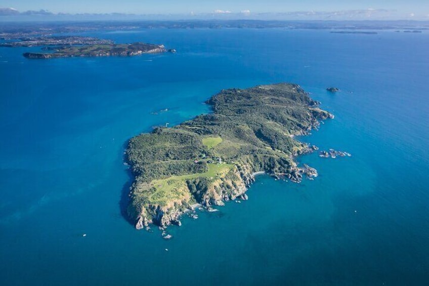 Tiritiri Matangi Island Discovery - from Auckland