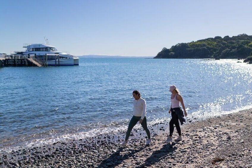 Tiritiri Matangi Island Discovery - from Auckland