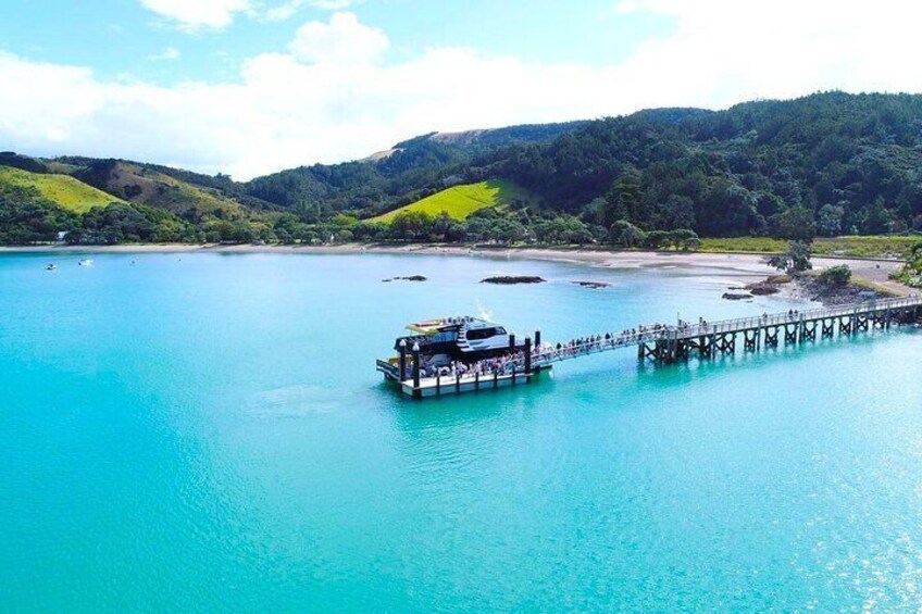 Man O' War Winery on Waiheke Island - Ferry from Auckland