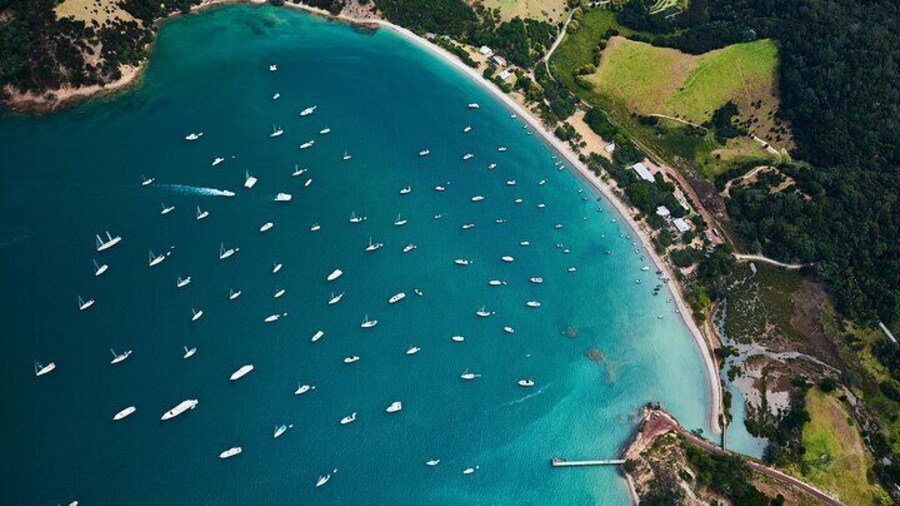 Man O' War Winery on Waiheke Island - Ferry from Auckland