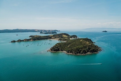 Rotoroa Island Ferry - from Auckland