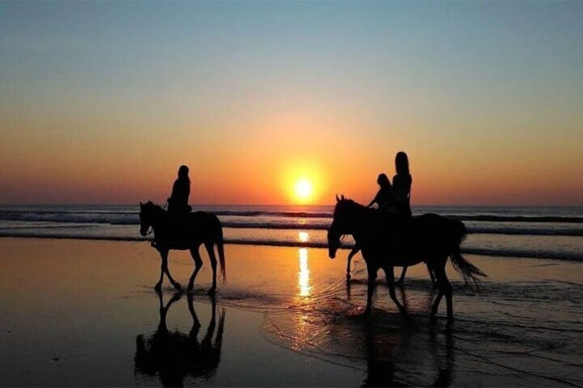 Horse Riding Experience on Black Sand Beach Bali