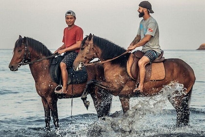 Horse Riding Experience on Black Sand Beach Bali