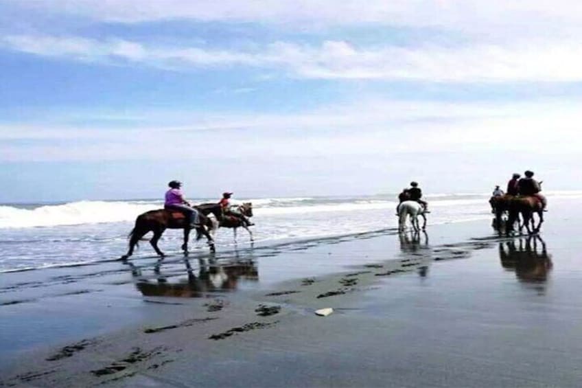 Horse Riding Experience on Black Sand Beach Bali