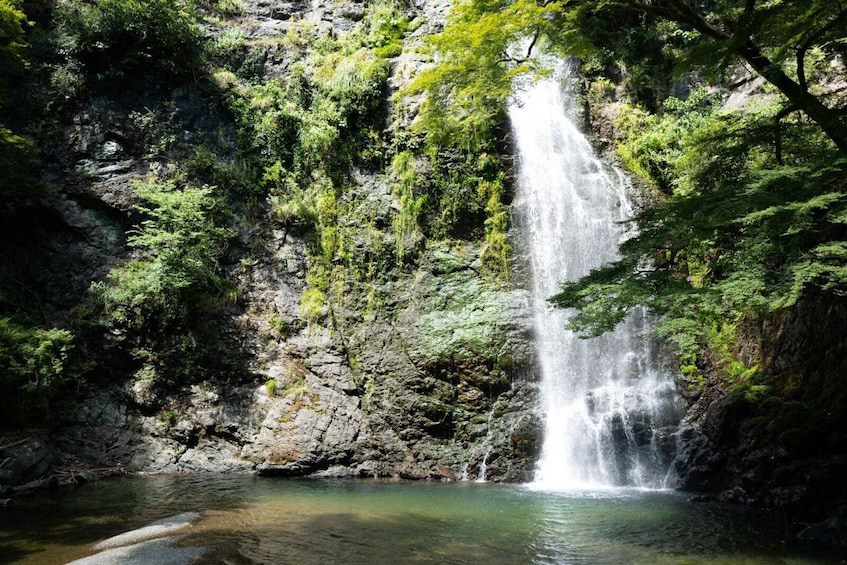 Picture 4 for Activity Osaka: Minoh, Katsuoji Temple, & Minoh Falls Full-day Tour