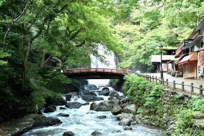 Osaka: Minoh, Katsuoji Temple, & Minoh Falls Full-day Tour