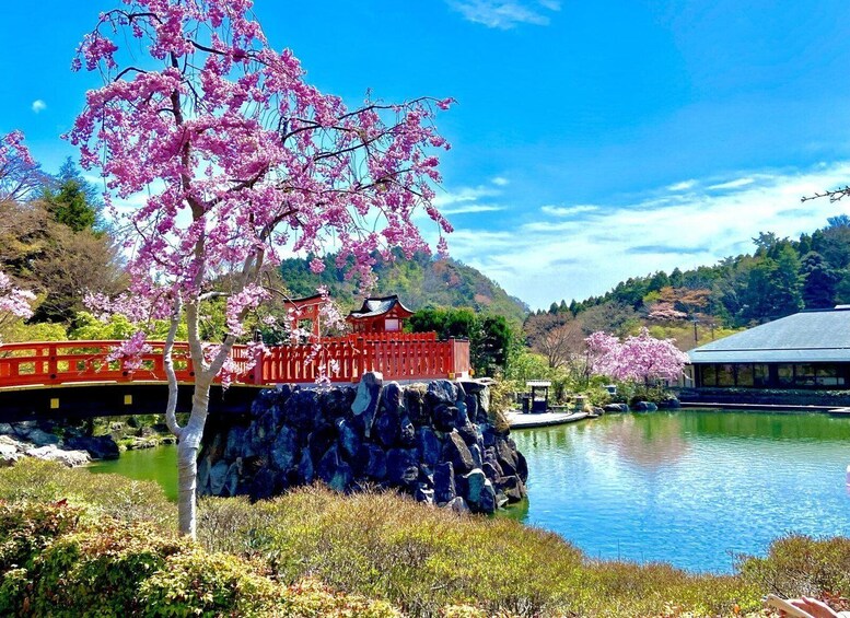 Picture 3 for Activity Osaka: Minoh, Katsuoji Temple, & Minoh Falls Full-day Tour