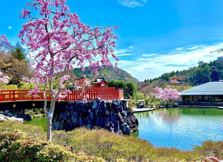 Picture 3 for Activity Osaka: Minoh, Katsuoji Temple, & Minoh Falls Full-day Tour