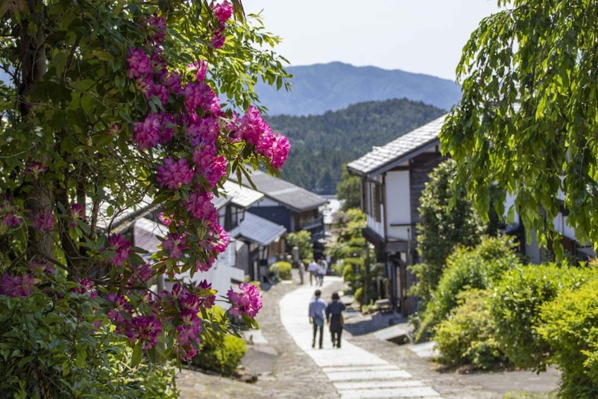 Picture 7 for Activity 1-Day Tour from Nagoya: Hiking the Historic Nakasendo Trail