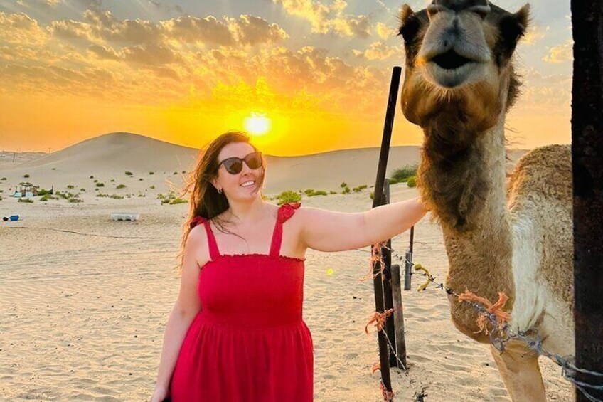 Private Sunrise Safari in Abu Dhabi's Desert