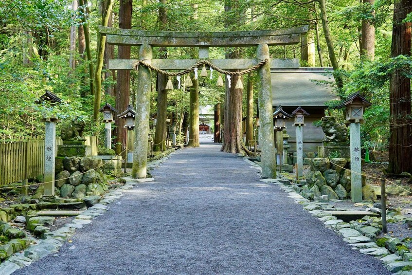 Picture 5 for Activity From Nagoya: Ise’s Sacred Shrines and Captivating Coastlines